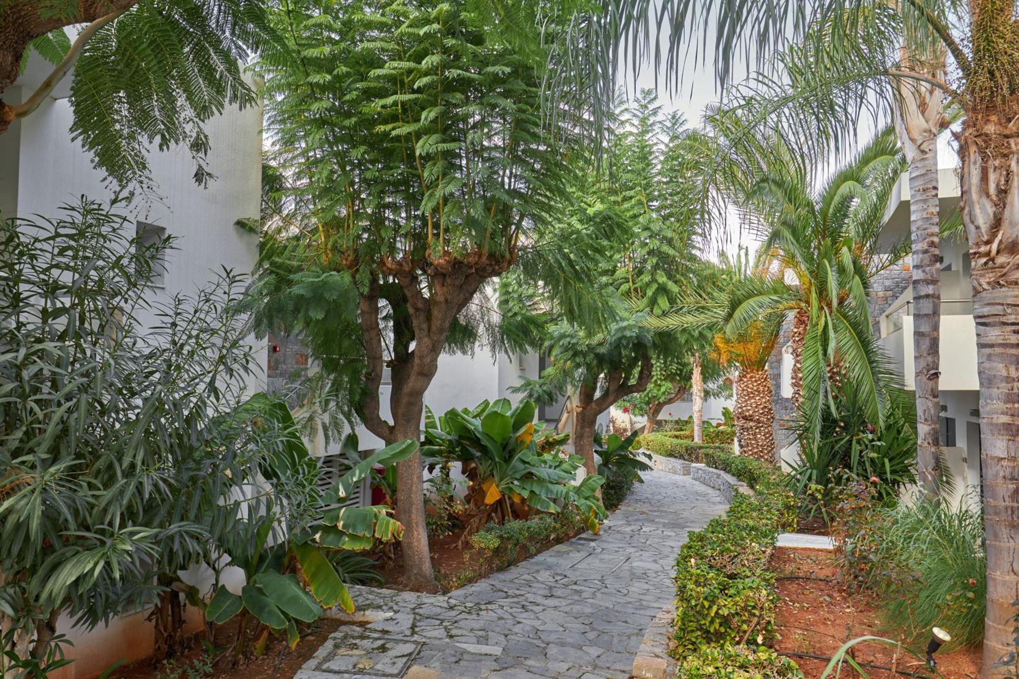 Kyknos Beach Hotel & Bungalows Malia  Luaran gambar