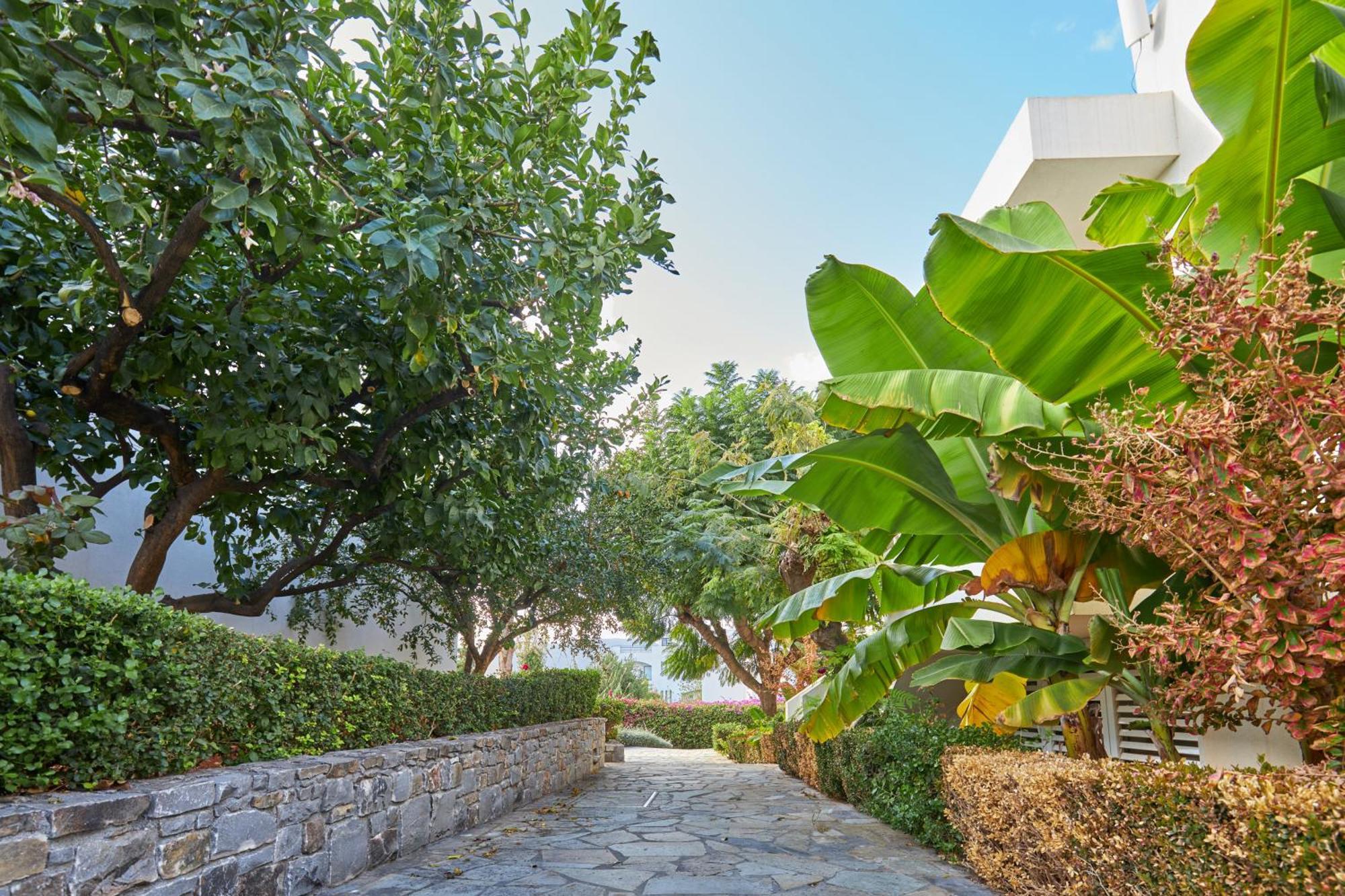 Kyknos Beach Hotel & Bungalows Malia  Luaran gambar